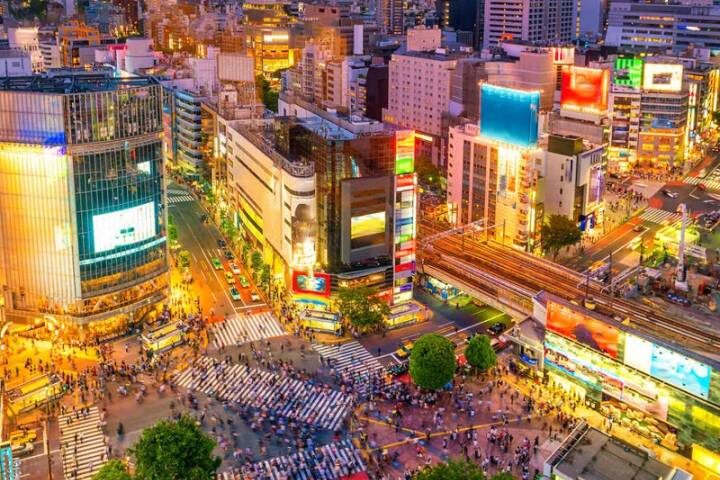 Upgraded - Discover Japan 9-Day Tour by Explore! - Miyajima adds island shrines and a tea ceremony