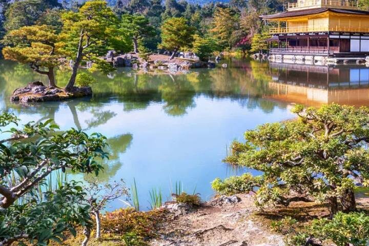 Upgraded - Discover Japan 9-Day Tour by Explore! - Kyoto gives temples room to breathe