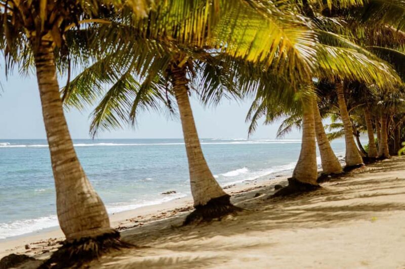 Upolu Samoa Full Day Private Tour - Deep Dive into the Highlights