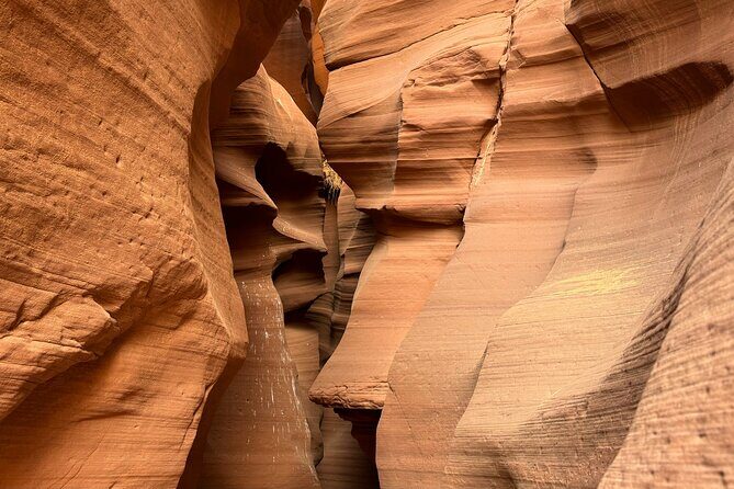 Upper Antelope Slot Canyon Tour - The Reviews and Real Traveler Insights
