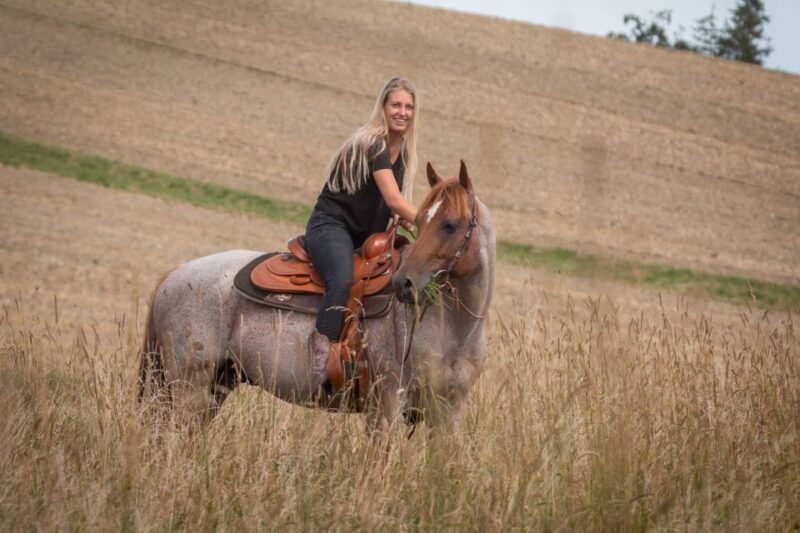 Upper Austria: landscape, forests, meadows - A Close Look at the Horseback Hiking Tour in Upper Austria