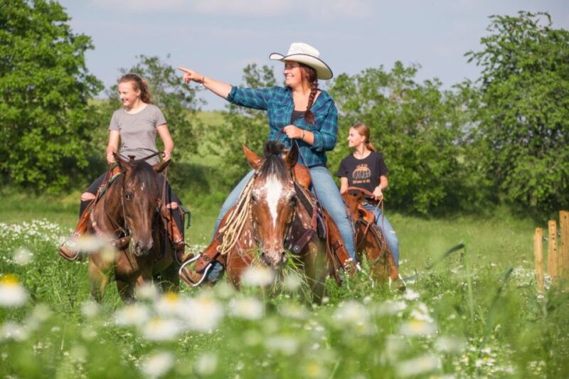 Upper Austria: landscape, forests, meadows - An Authentic, Relaxing Outdoor Experience