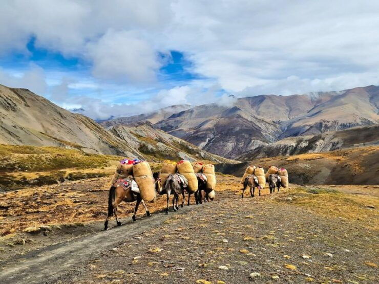 Upper Dolpo Trek - 15 Days - Upper Dolpo Trek Overview