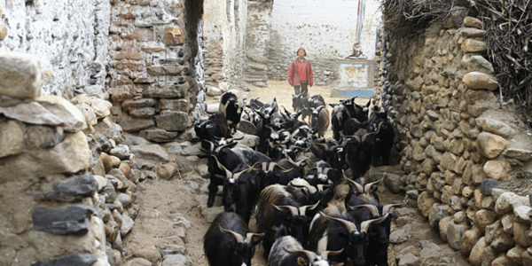 Upper Mustang Jeep Tour - Break Down