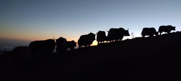 Upper Mustang: Motorbike Tour - Questions You May Have