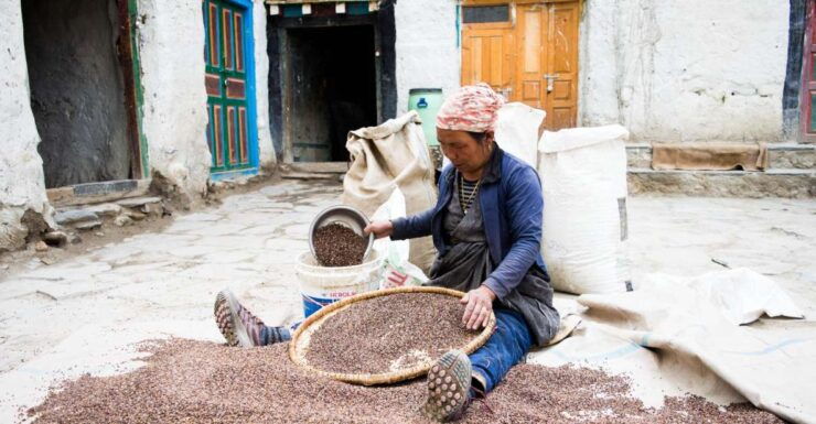 Upper Mustang Trek - 17 Days - Booking and Flexibility Options