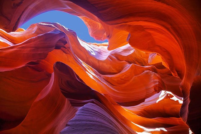 Upper or Lower Antelope Canyon Day Trip From Las Vegas - Positive Reviews and Recommendations