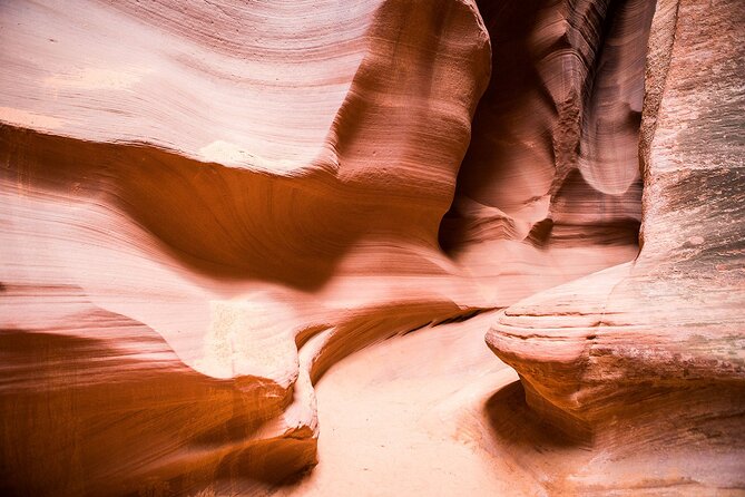 Upper or Lower Antelope Canyon & Horseshoe Bend Tour From Page - Tour Highlights