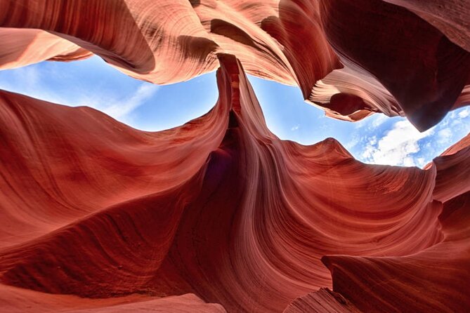 Upper or Lower Antelope Canyon & Horseshoe Bend Tour From Page - Cancellation Policy