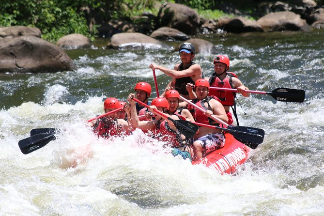 Upper Pigeon River Rafting Trip From Hartford - Thrilling Rafting Experience