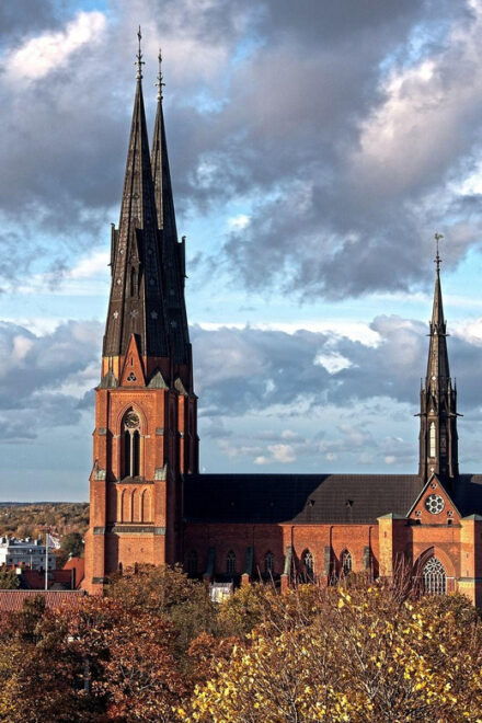 Uppsala Private Guided Walking Tour - Tour Highlights
