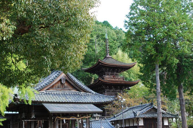 URA*KOBE Japans Rural History and Hiking - Who Will Love This Tour?