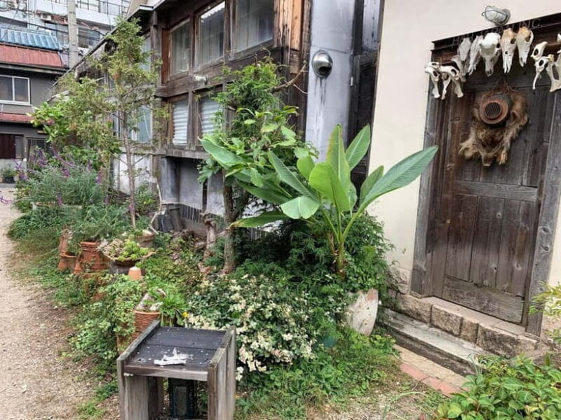 Urban Canvas: Osaka Street Art Bike Tour - Good To Know