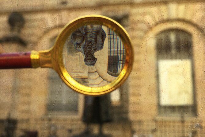Urban Escape Game: in Search of Goyas Skull - Common Questions