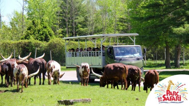 Urban Escape: Montreal Park Safari - Inclusions and Exclusions
