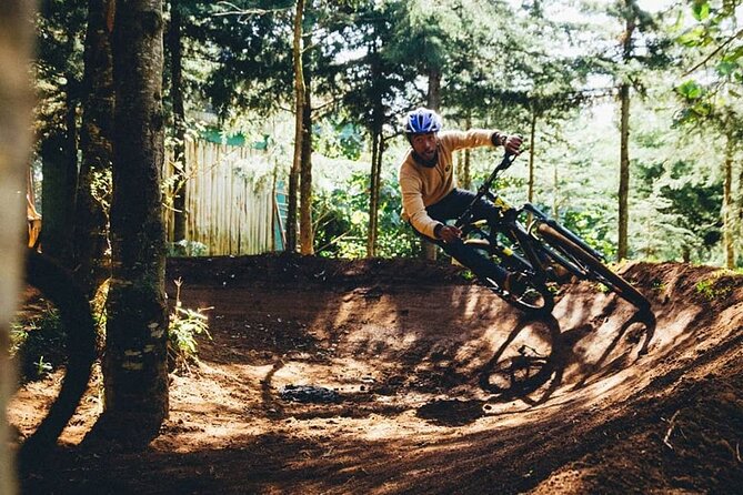 Urban Forest Tour in Nairobi - Tour Highlights