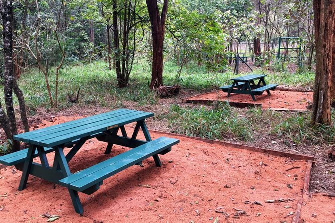 Urban Forest Tour in Nairobi - Booking Information