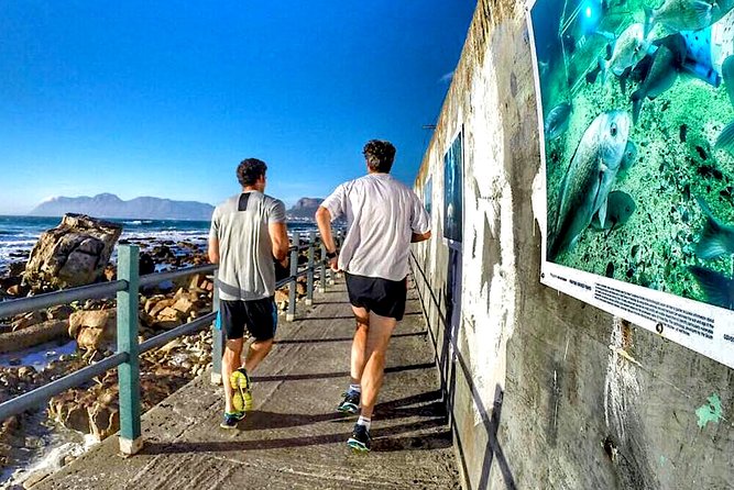 Urban Jogging Tour With a Changemaker - Pricing and Booking