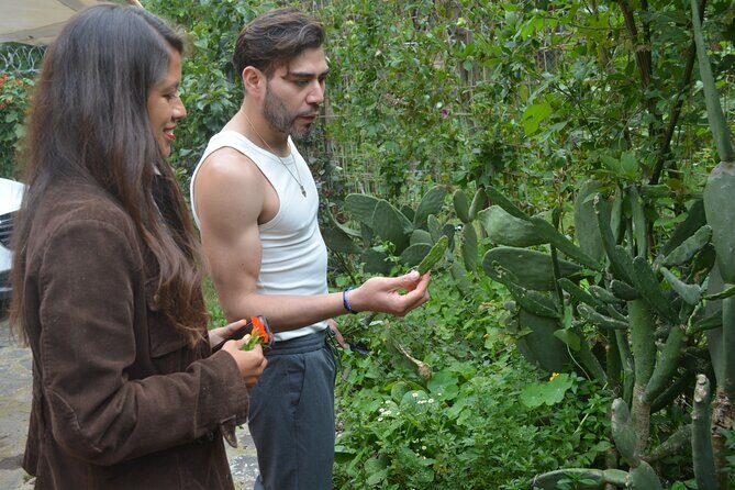 Urban Orchard in Desierto de los Leones in Mexico City - Good To Know
