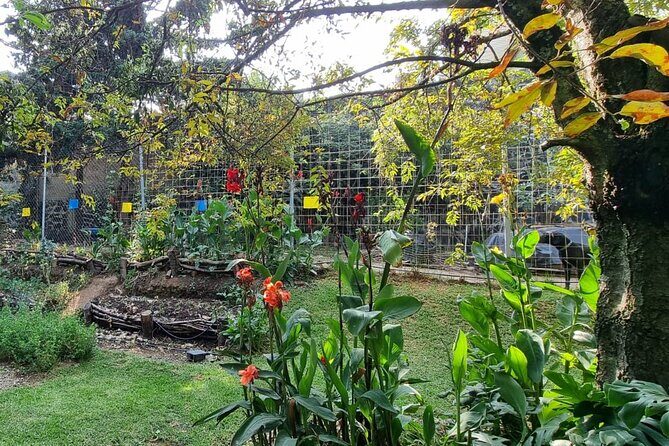 Urban Orchard in Desierto de los Leones in Mexico City - FAQ