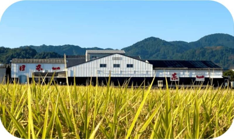 Ureshino: Gochoda Sake Brewery Tour with Tasting - Final Thoughts