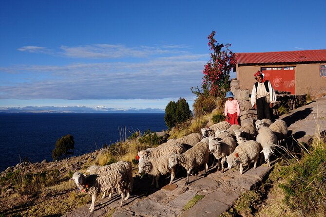 Uros Reed Floating Islands & Taquile Island Titicaca Puno Full Day - The Sum Up