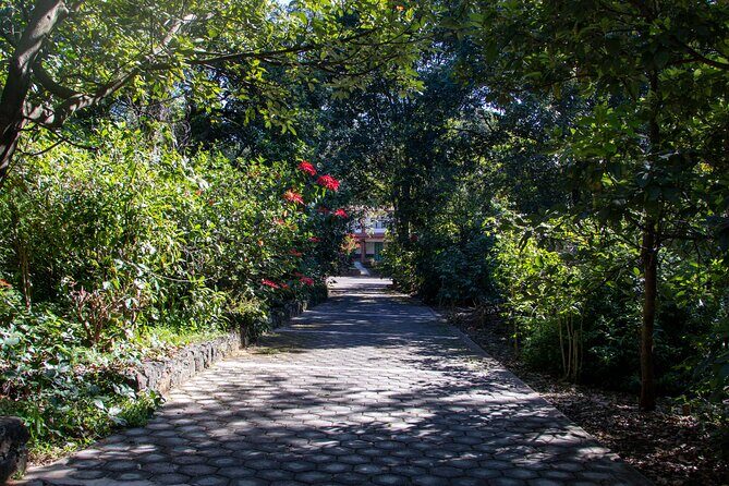 Uruapan Tour and Avocado Garden with Breakfast - A Closer Look at the Uruapan Tour and Avocado Garden Experience