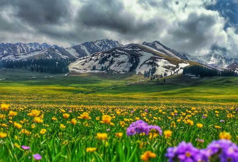 Urumqi: 8-Day Private Tour to Sayram Lake and Yining - Final Thoughts