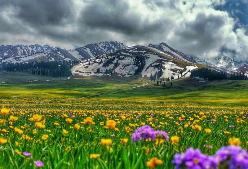 Urumqi: 8-Day Private Tour to Sayram Lake and Yining - What This Tour Means for You