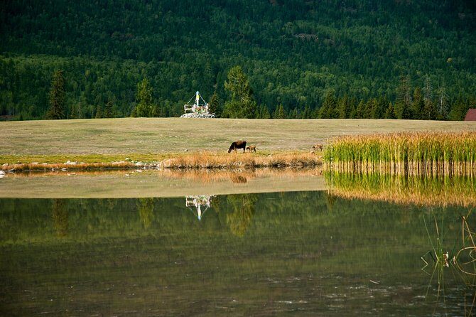 Urumqi Private Arrival Transfer: Railway Station to Hotel - Why This Transfer Is a Good Choice