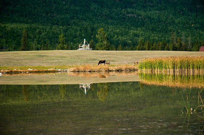 Urumqi Private Departure Transfer: Hotel to Railway Station - Final Thoughts  