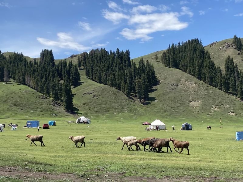 Urumqi Tianshan Grand Canyon One-Day Tour - A full day beyond Urumqi