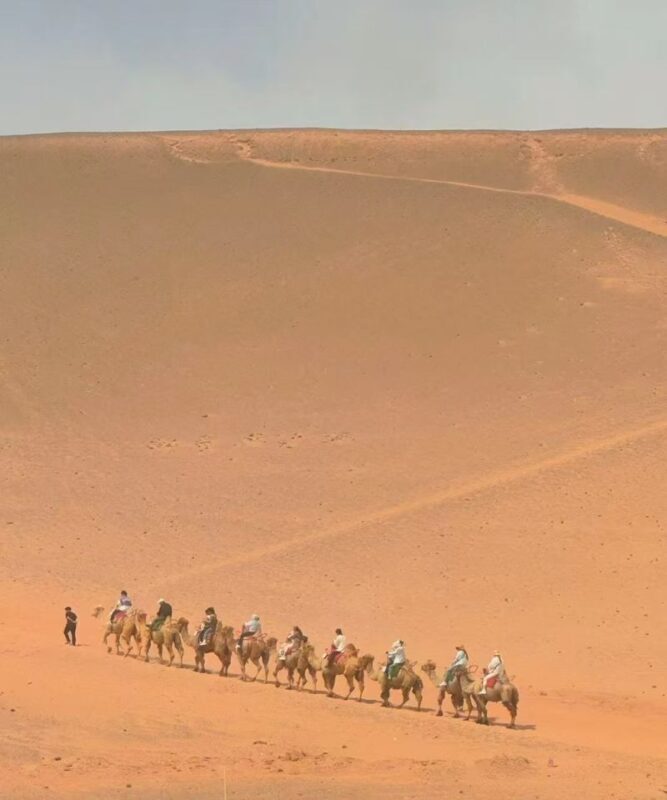 Urumqi Turpan Karez Well/Mazar Village One-Day Tour - Kumtag Desert: choose your level of adventure