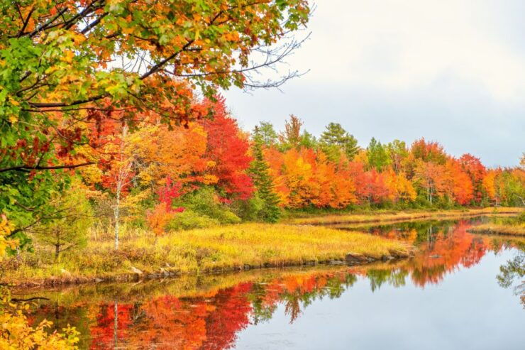 US East Coast: Fall Highlights Self-Guided Audio Tour W/ App - Good To Know