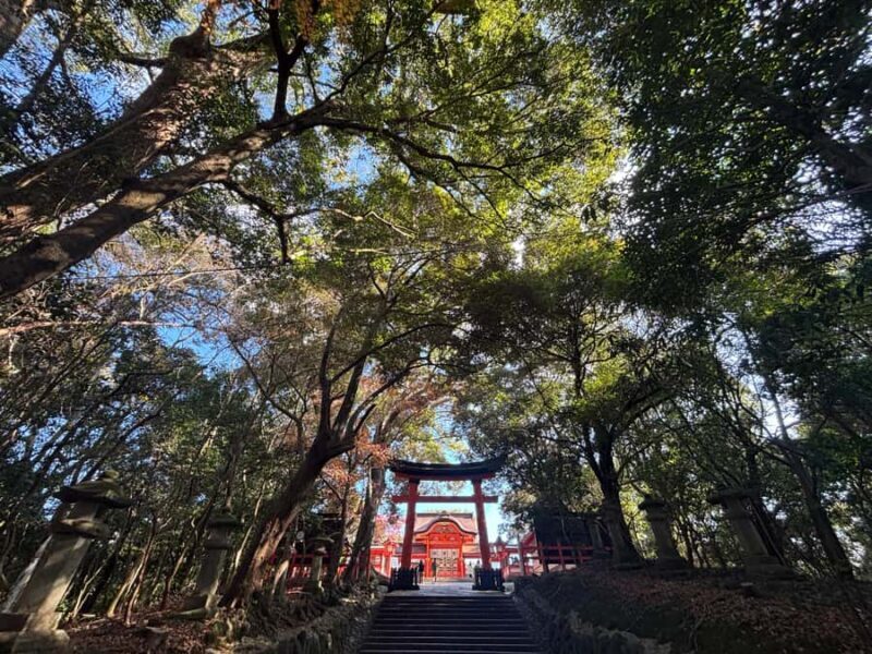 Usa Jingu Shrine Private Tour with Guide from beppu - Sacred Pathways and Tranquil Atmosphere