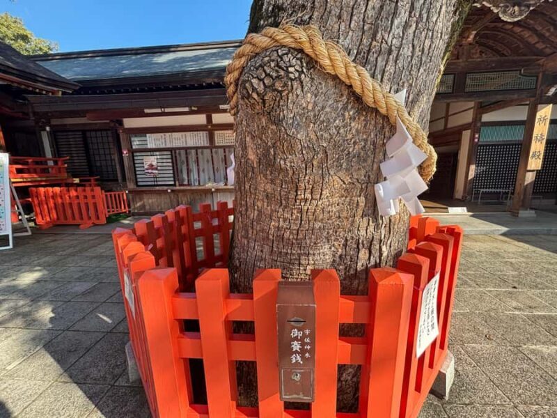 Usa Jingu Shrine Private Tour with Guide from beppu - Who Should Consider This Tour?