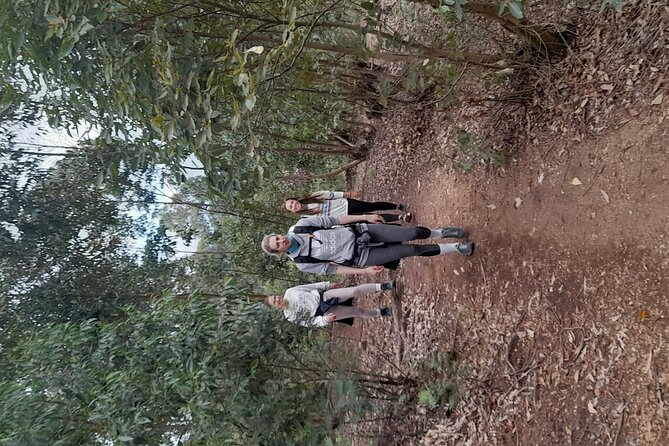 Usambara Mountains Adventure - Good To Know