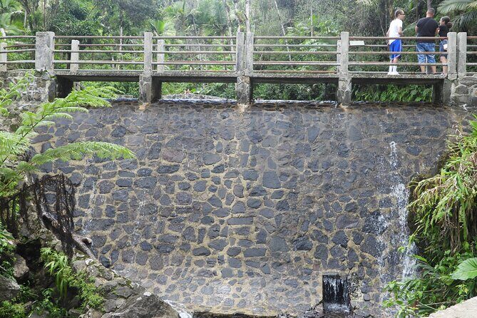 USDA El Yunque National Forest and Luquillo Beach Tour - Authentic Experiences From Reviewers