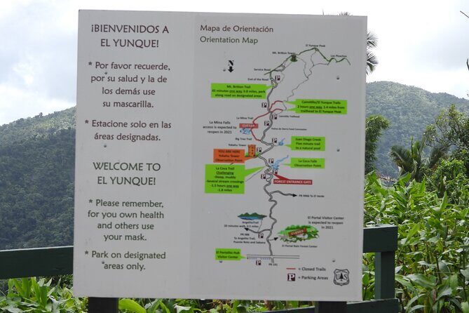 USDA El Yunque National Forest and Luquillo Beach Tour - The Sum Up