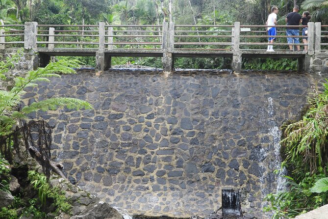 USDA El Yunque National Forest and Luquillo Beach Tour - Tour Highlights