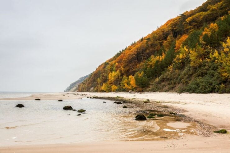 Usedom: Day Trip to Wolin National Park - Private Transport - Activity Details