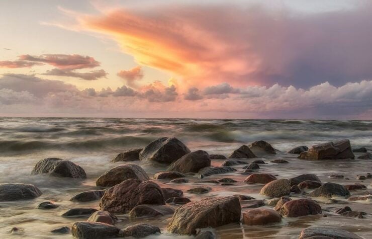 Usedom: Day Trip to Wolin National Park - Private Transport - Experience Highlights