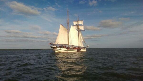 Usedom: Sailing Tour on Exclusive Tall Ship Thursday - Wildlife Observation Opportunities