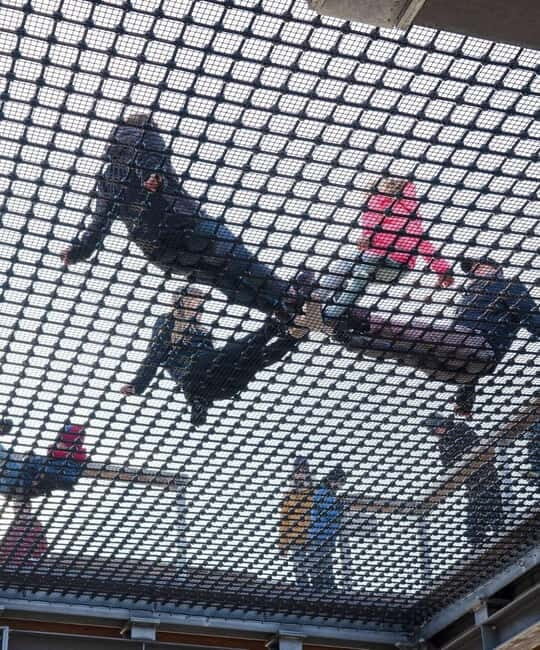 Usedom: Treetop Walk Adventure on Usedom Island - Good To Know  