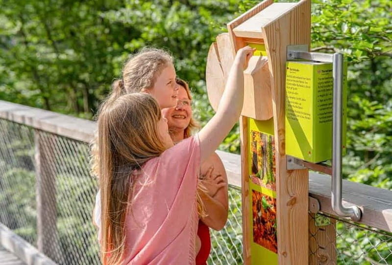 Usedom: Treetop Walk Adventure on Usedom Island - What Is the Usedom Treetop Walk?