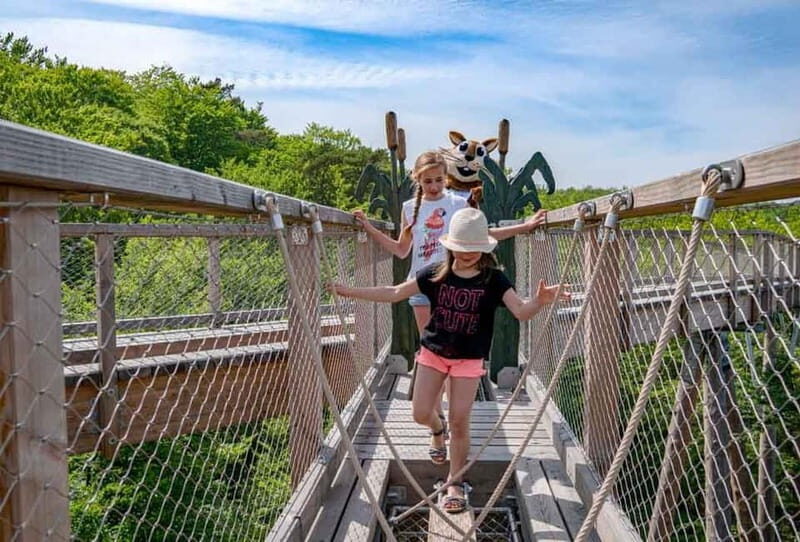 Usedom: Treetop Walk Adventure on Usedom Island - Practical Details & Tips