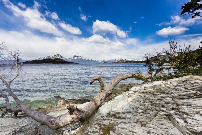 Ushuaia Adventure: Air Journey From Buenos Aires - Tour Highlights