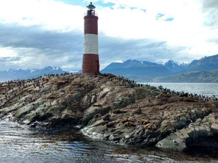 Ushuaia: Beagle Channel & Sea Wolves Island Catamaran Cruise - Activity Details