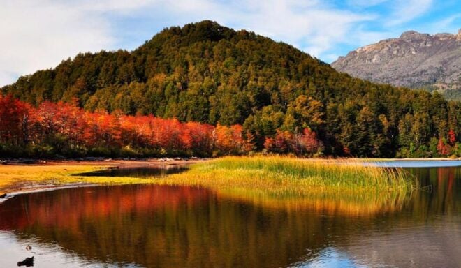 Ushuaia: Beagle Channel, Seal Island & Bridges Islands Tour - Payment Options & Gift Vouchers