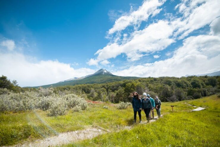 Ushuaia: Full Day Trip to Tierra Del Fuego National Park - What to Expect on the Tour